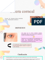 Sindromico - Ulcera Corneal