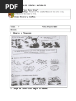 GUIA DE CIENCIAS NATURALES 1° Básico Seres Vivos e Inertes