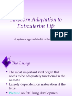 Newborn Adaptation To Extrauterine Life: A Systemic Approach To Life in This World