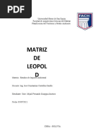 Matriz de Leopold