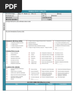 Vizcacha - Observación de Tarea