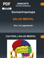 Clase 7 Salud Mentalpdf