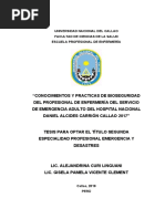 Curi, Vicente "Conocimientos y Practicas de Bioseguridad Del Profesional de Enfermería