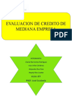 Propuesta Mediana Empresa 222