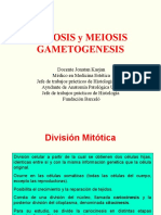 03 Gametogenesis