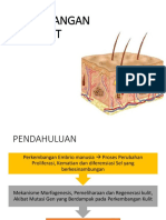 Perkembangan Kulit