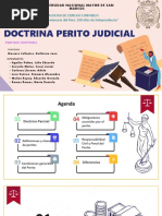 Grupo #1 - Doctrina Del Perito Judicial - Aula 410