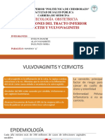 Taller Cervicitis y Vulvovaginitis