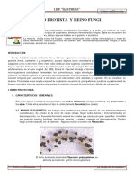 Reino Protista y Fungi