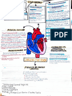 Corazon Como Bomba y Electrocardiograma