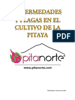 Plagas y Enfermedades Sobre El Cultivo de La Pitaya 1