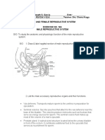 WEEK 17 LAB EXERCISE - Reproductive System (Male & Female)