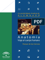 Cuaderno Anatomía