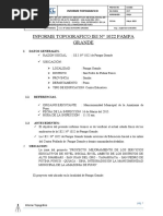 Informe-Topografico-Pampa Grande