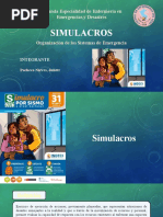 SIMULACRO