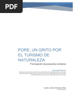 Formulacion de Proyectos Turisticos - Pore