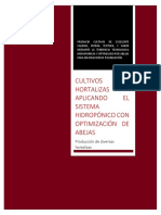 Propuesta Plan de Negocios, Proyecto Hidroponico