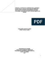 Acosta & Tupaz (2007) - Cuantificación de La Captura de Carbono Por La Biomasa Aerea de Alnus Jorullensis