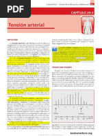 Tension Arterial Presion Arterial