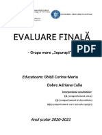 Evaluare Finala Grupa Mare