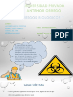 Riesgo Biologico Grupo 5