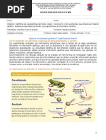 Guía Nº2 Genética