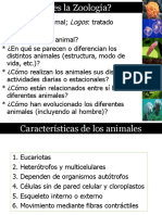 Arquitectura Animal