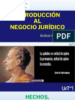 Introducción Al Negocio Jurídico