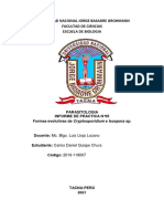 INFORME 5 Parasitologia Carlos Chura