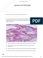 Examen Integrador de Histología