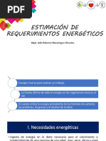 Estimación de Requerimientos Energéticos