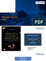 Biología Celular-Traducción Del ARN-12-16