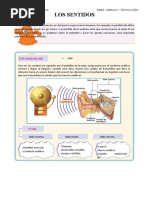 Sentido Del Oìdo 6to A - Mayo