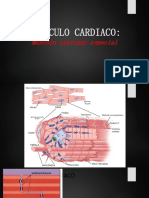 Biofisica MUSCULO CARDIACO