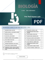 Los Carbohidratos 4to b1