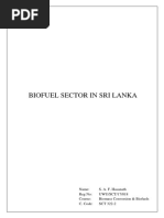 Biofuel Sector in Sri Lanka: Assignment 01