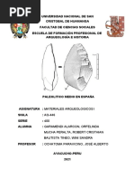 Paleolitico Medio en España