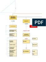 Mapa Conceptual Capellania Pediatrica