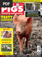 Practical Pigs - Issue 43 - Summer 2021