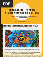 Lenguas Del Estado Plurinacional de Bolivia