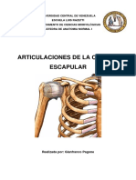 Articulaciones de La Cintura Escapular