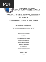 Informe de Química UNASAM "DETERMINACIÓN COLORIMÉTRICA DEL PH"