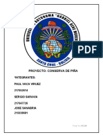 Proyecto Piña