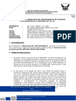 Informe Ejecutivo Tentativa de Femicidio 1