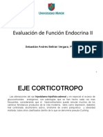 Endocrino SB Ii