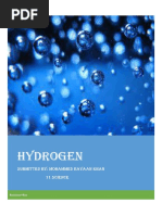 Hydrogen Project