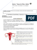 5 Actividad de Ciencias