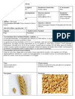 Ficha de Registro Semillas