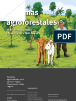 Fichas Modelos Agroforestales - Alta