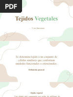 Clase 3 - Tejidos Vegetales